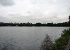 IMG 0323