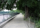 IMG 0337