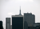 IMG 0342