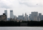 IMG 0345