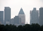 IMG 0352