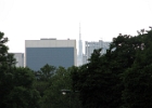 IMG 0359