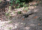 IMG 0361