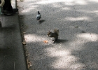 IMG 0362