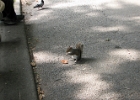 IMG 0363