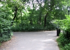 IMG 0367
