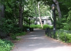 IMG 0368