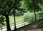 IMG 0370