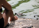 IMG 0373