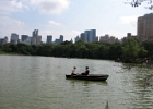 IMG 0377