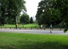 IMG 0388
