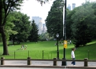 IMG 0389