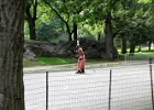 IMG 0399