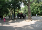 IMG 0407