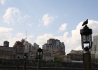 DPP 0167
