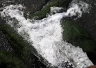 DPP 0192