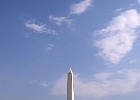 DPP 0295
