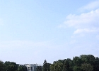 DPP 0299