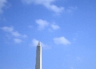 DPP 0300