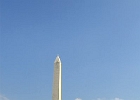 DPP 0301