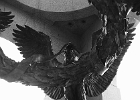 DPP 0312