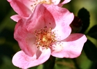 2008 08 24