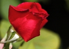 2011 03 06