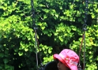 2012 05 26