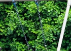 2012 08 19