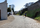 IMG 9477