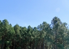IMG 9551