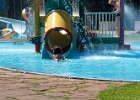 IMG 9582