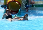 IMG 9595