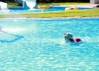 IMG 9627
