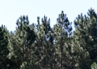 IMG 9663