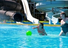 IMG 9764