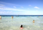 IMG 9991