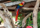 IMG 0019