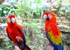 IMG 0082
