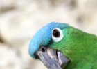 IMG 0135