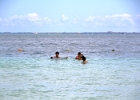 IMG 0372