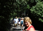 IMG 0608