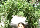 IMG 0616
