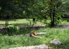 IMG 0618