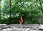 IMG 0619