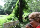 IMG 0630