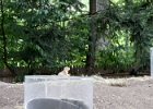 IMG 0674