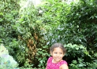 IMG 0685
