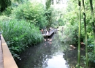 IMG 0689