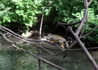 IMG 0692